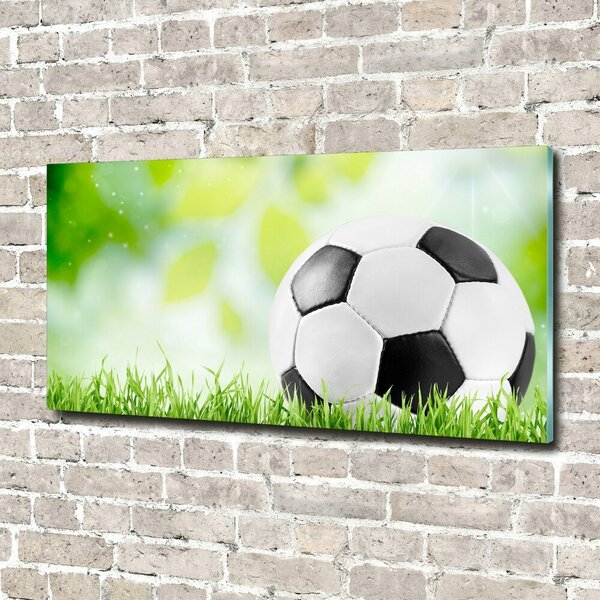 Foto-obraz fotografie na skle Fotbal osh-80877842