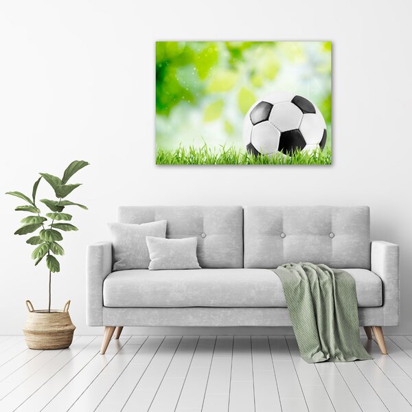Foto obraz na plátně Fotbal oc-80877842
