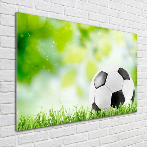 Foto-obraz fotografie na skle Fotbal osh-80877842