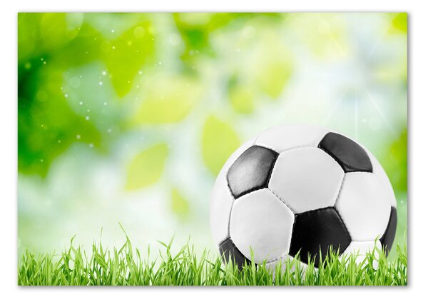 Foto-obraz fotografie na skle Fotbal osh-80877842