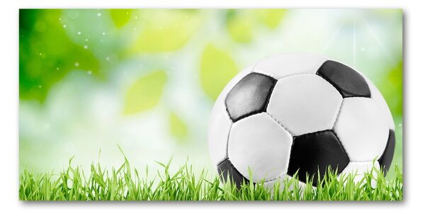 Foto-obraz fotografie na skle Fotbal osh-80877842