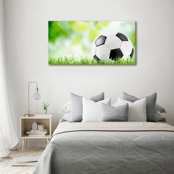 Foto obraz na plátně Fotbal oc-80877842