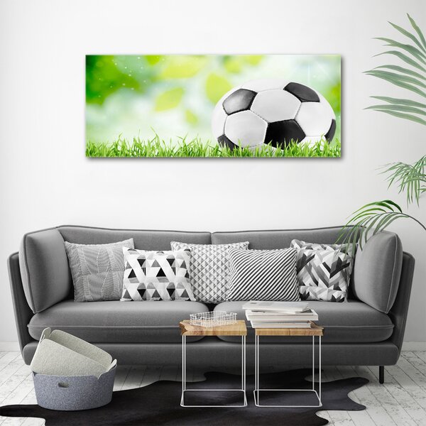Foto obraz na plátně Fotbal oc-80877842