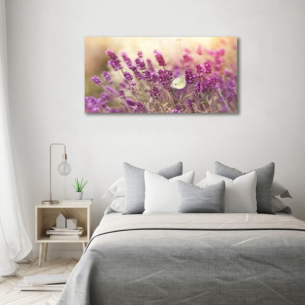 Fotoobraz na skle Levandule osh-81033568