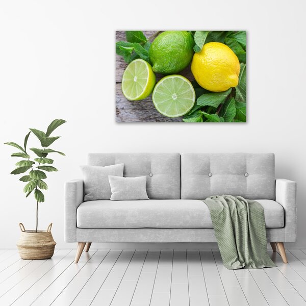 Foto obraz na plátně Limetka a citron oc-81072206