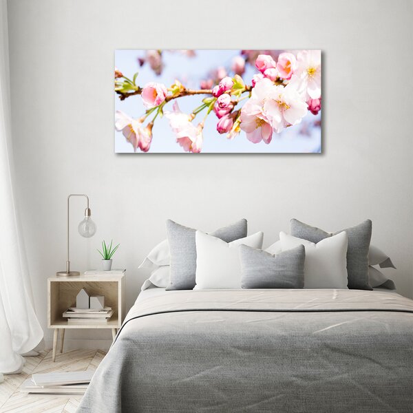 Moderní obraz canvas na rámu Květy višně oc-81280422