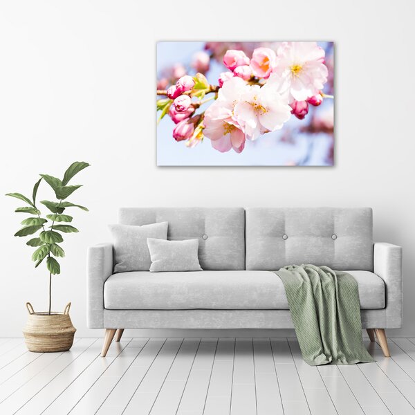 Moderní obraz canvas na rámu Květy višně oc-81280422