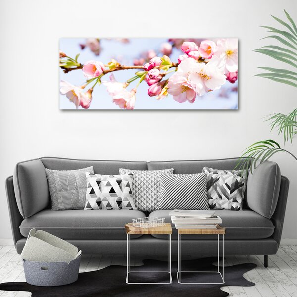 Moderní obraz canvas na rámu Květy višně oc-81280422