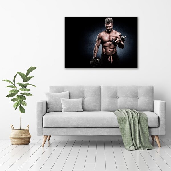 Foto obraz canvas Stavba svalů oc-81396798