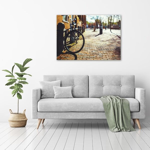 Foto-obraz canvas do obýváku Kolo Amsterdam oc-82036416