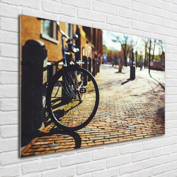 Foto-obrah sklo tvrzené Kolo Amsterdam osh-82036416