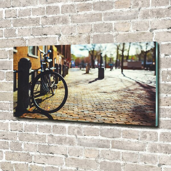 Foto-obrah sklo tvrzené Kolo Amsterdam osh-82036416
