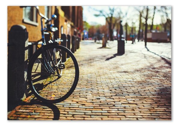 Foto-obrah sklo tvrzené Kolo Amsterdam osh-82036416
