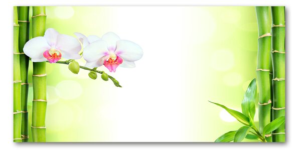 Fotoobraz na skle Orchidej a bambus osh-82165838
