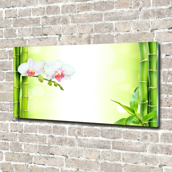 Fotoobraz na skle Orchidej a bambus osh-82165838