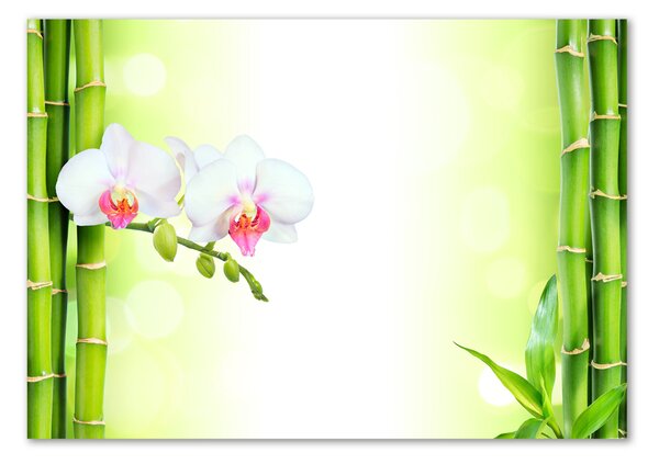 Fotoobraz na skle Orchidej a bambus osh-82165838