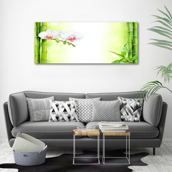 Fotoobraz na skle Orchidej a bambus osh-82165838