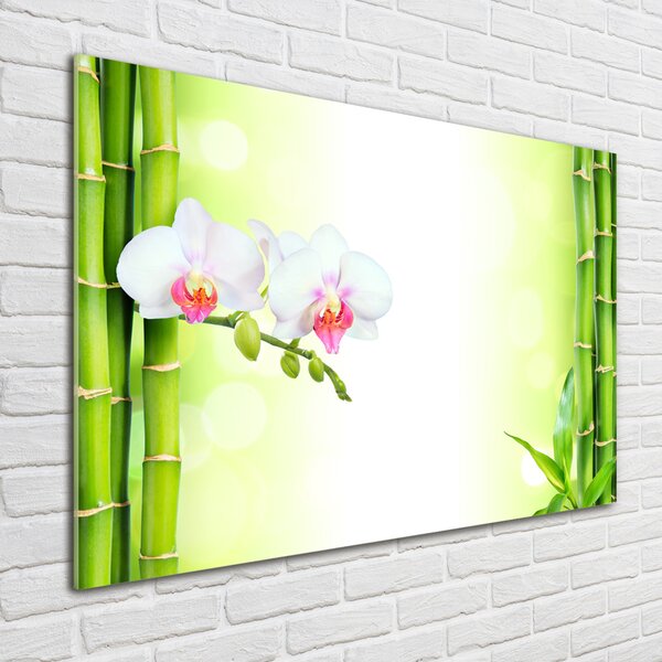 Fotoobraz na skle Orchidej a bambus osh-82165838