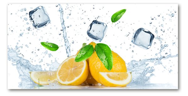 Foto obraz skleněný horizontální Citrony s ledem osh-82344620