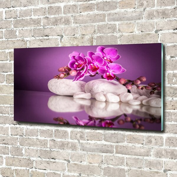 Foto obraz sklo tvrzené Růžová orchidej osh-82457632