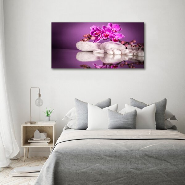 Foto obraz canvas Růžová orchidej oc-82457632