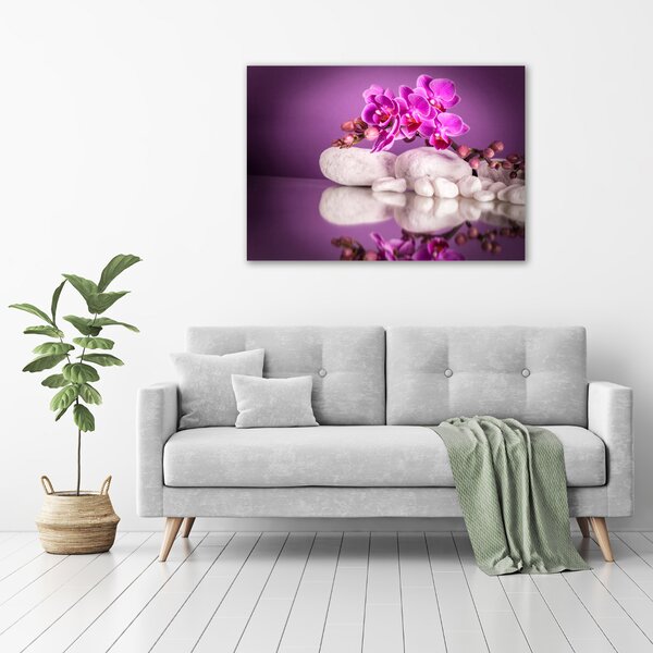 Foto obraz canvas Růžová orchidej oc-82457632