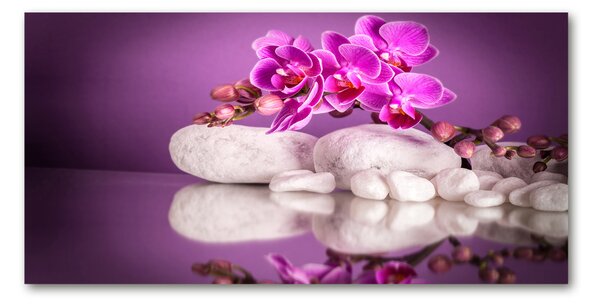 Foto obraz sklo tvrzené Růžová orchidej osh-82457632