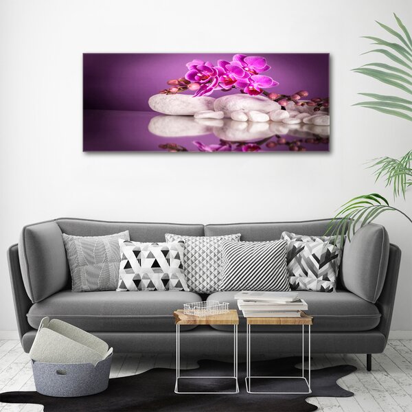 Foto obraz canvas Růžová orchidej oc-82457632