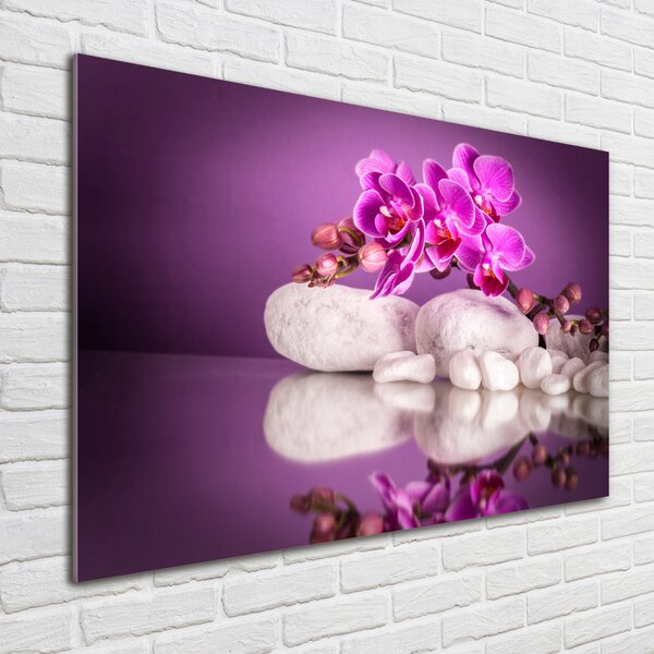 Foto obraz sklo tvrzené Růžová orchidej osh-82457632