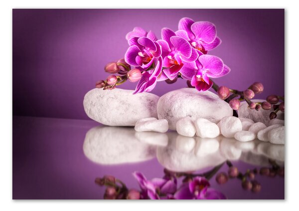 Foto obraz sklo tvrzené Růžová orchidej osh-82457632