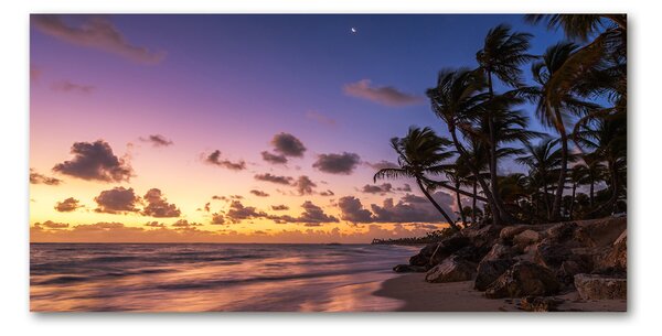Fotoobraz na skle Západ na pláži osh-82653610