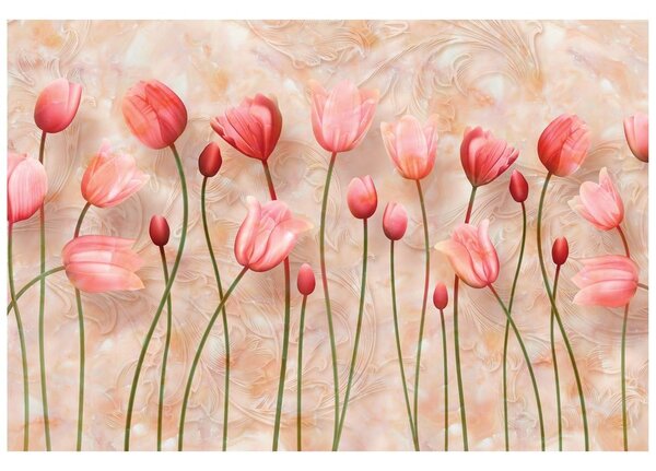 Samolepící tapeta starorůžové tulipány