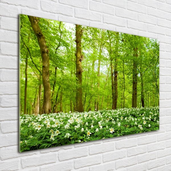 Foto obraz skleněný horizontální Květiny v lese osh-83235444