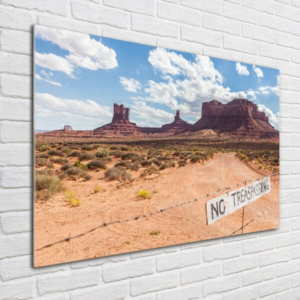 Foto obraz fotografie na skle Arizona USA osh-83587894