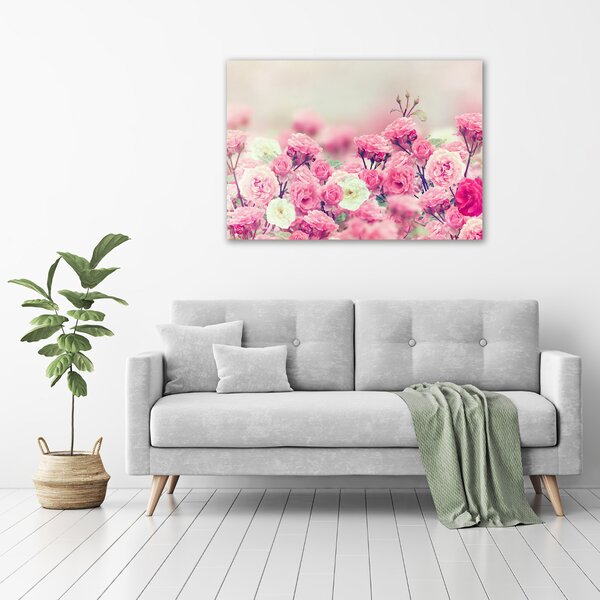 Moderní fotoobraz canvas na rámu Květy divoké růže oc-84071229