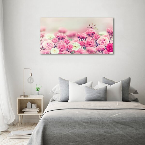 Moderní fotoobraz canvas na rámu Květy divoké růže oc-84071229