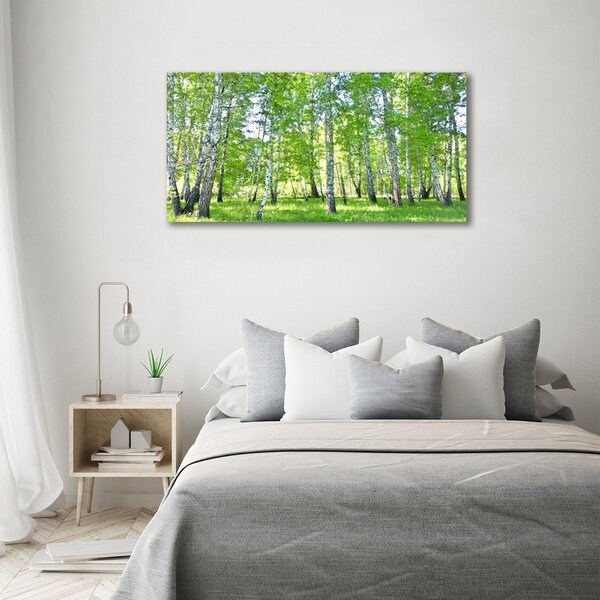 Moderní obraz canvas na rámu Břízy oc-84161268
