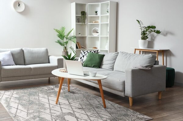 Šedý koberec 200x280 cm Sensi Gepi – FD