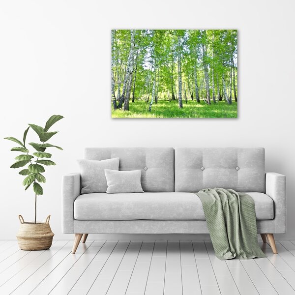 Moderní obraz canvas na rámu Břízy oc-84161268