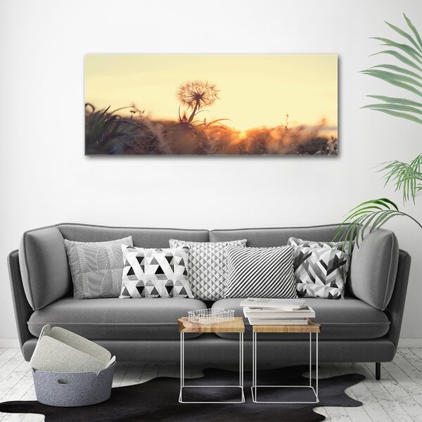 Moderní obraz canvas na rámu Pampeliška oc-85195523