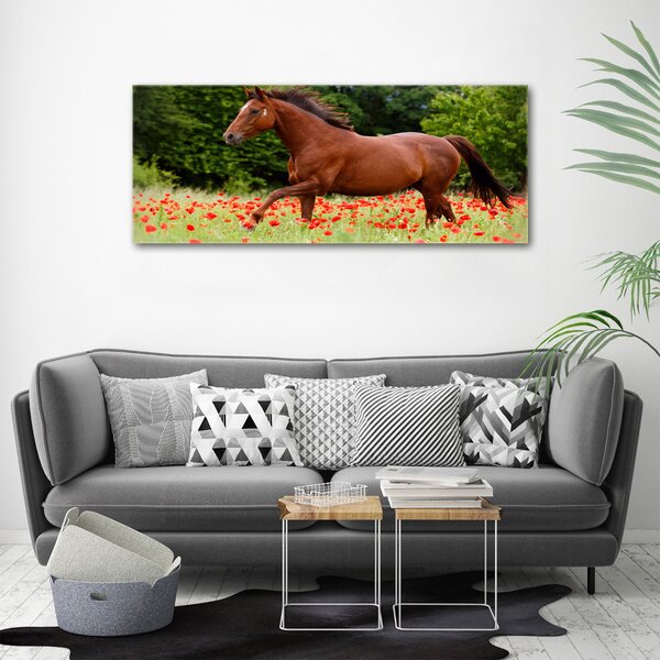Fotoobraz fotografie na plátně Kůň na poli máků oc-85278470
