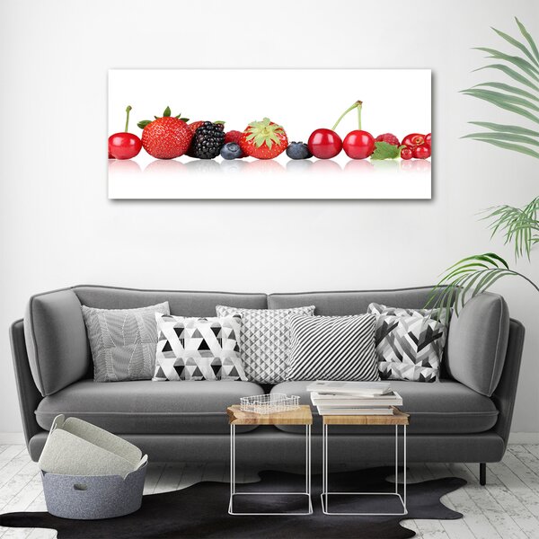 Moderní obraz canvas na rámu Ovoce v řadě oc-85383842