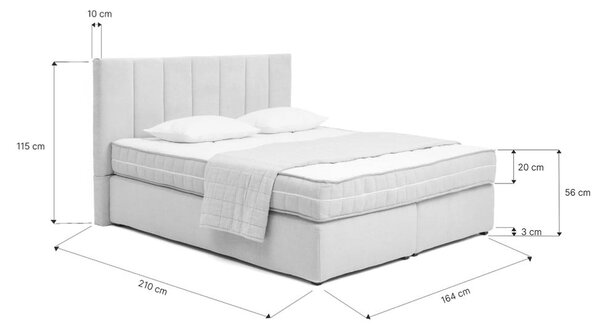 Šedá boxspring postel 180x200 cm Olia Bold Line – Bonami Selection