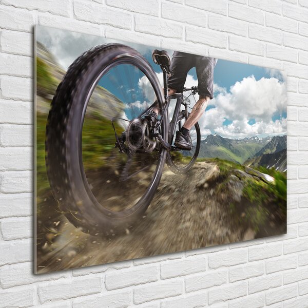 Fotoobraz na skle Horská cyklistika osh-86431808