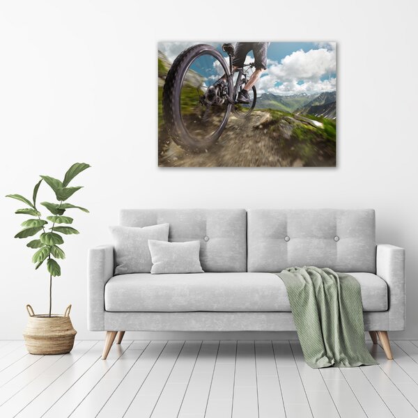 Fotoobraz na skle Horská cyklistika osh-86431808