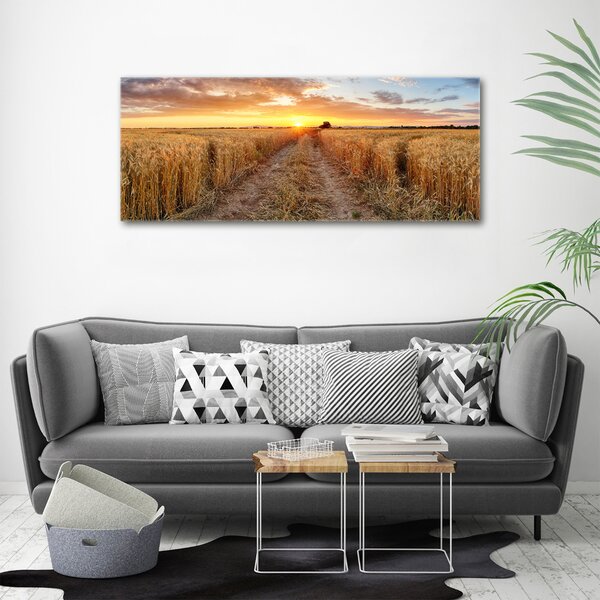 Foto obraz na plátně Pole pšenice oc-86490095