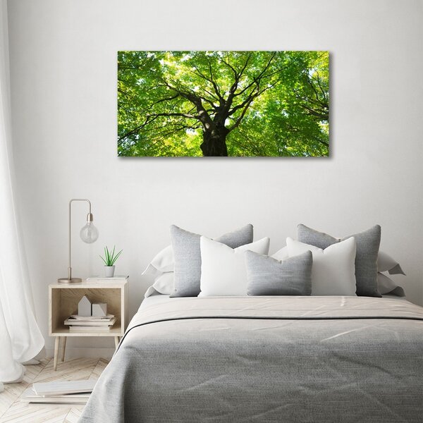 Moderní obraz canvas na rámu Zelený les oc-86959394