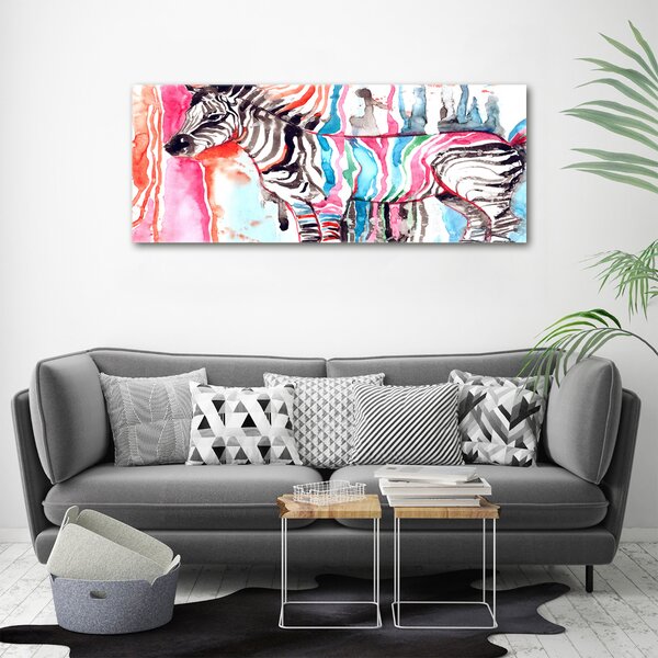 Foto obraz na plátně Barevná zebra oc-87232366