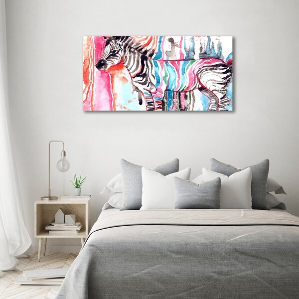 Foto obraz na plátně Barevná zebra oc-87232366