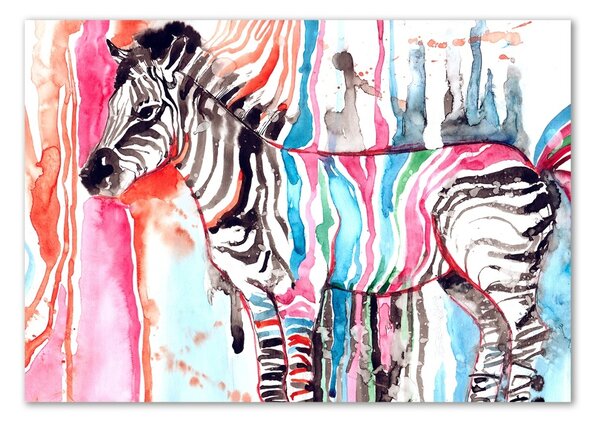 Fotoobraz na skle Barevná zebra osh-87232366